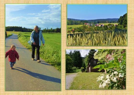 Gruenvogels Landgasthof Zum Gruenen Baum Oberzent Exteriér fotografie